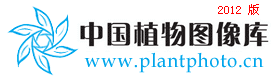 ppbc中国植物图像库